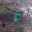 video icon