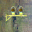 video icon
