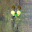 video icon