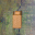 video icon