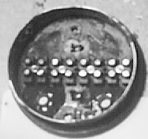 Rear cap photo